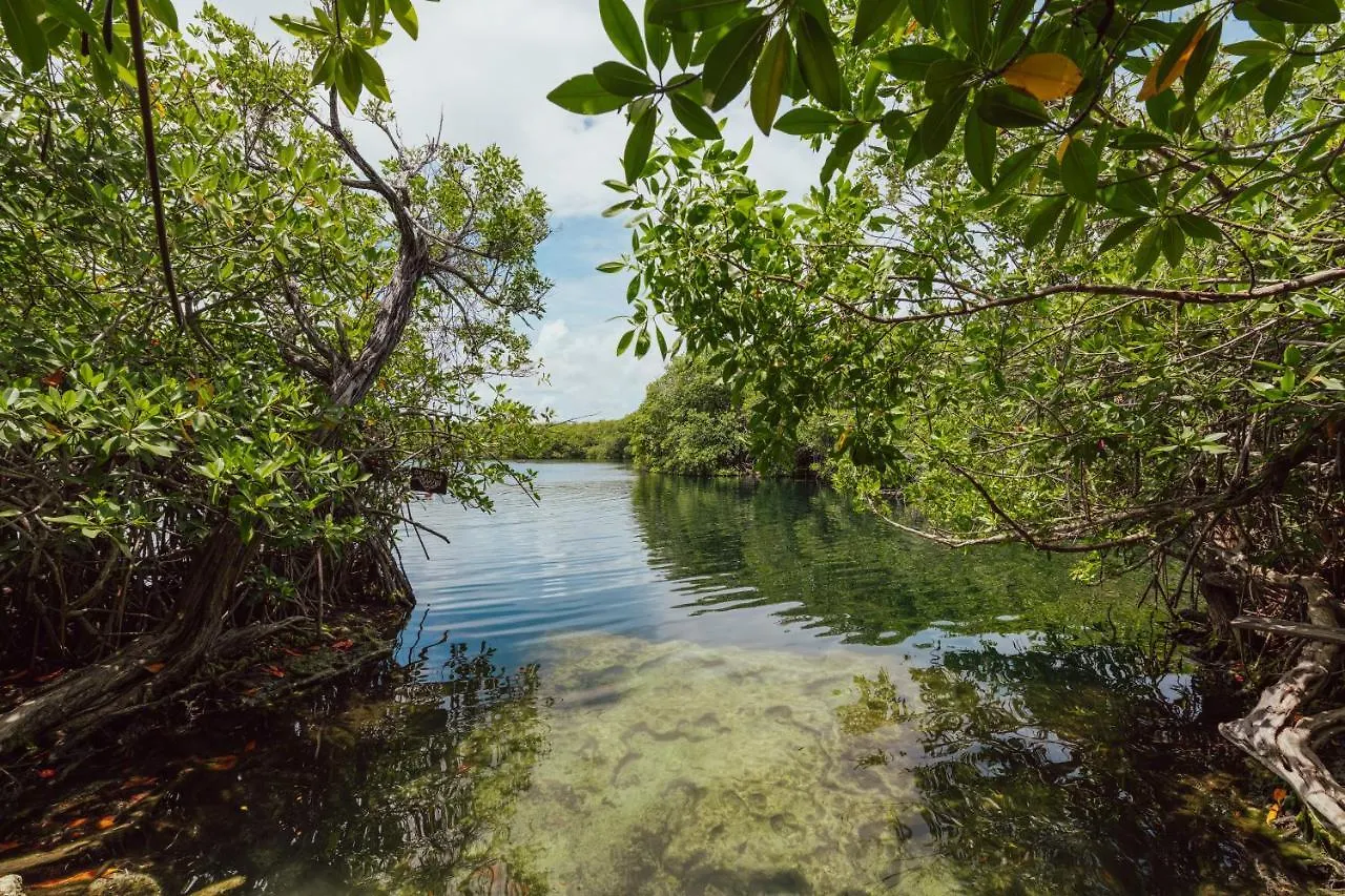 Gerendaház Yaxchen Tulum Cabanas & Cenote Mexikó