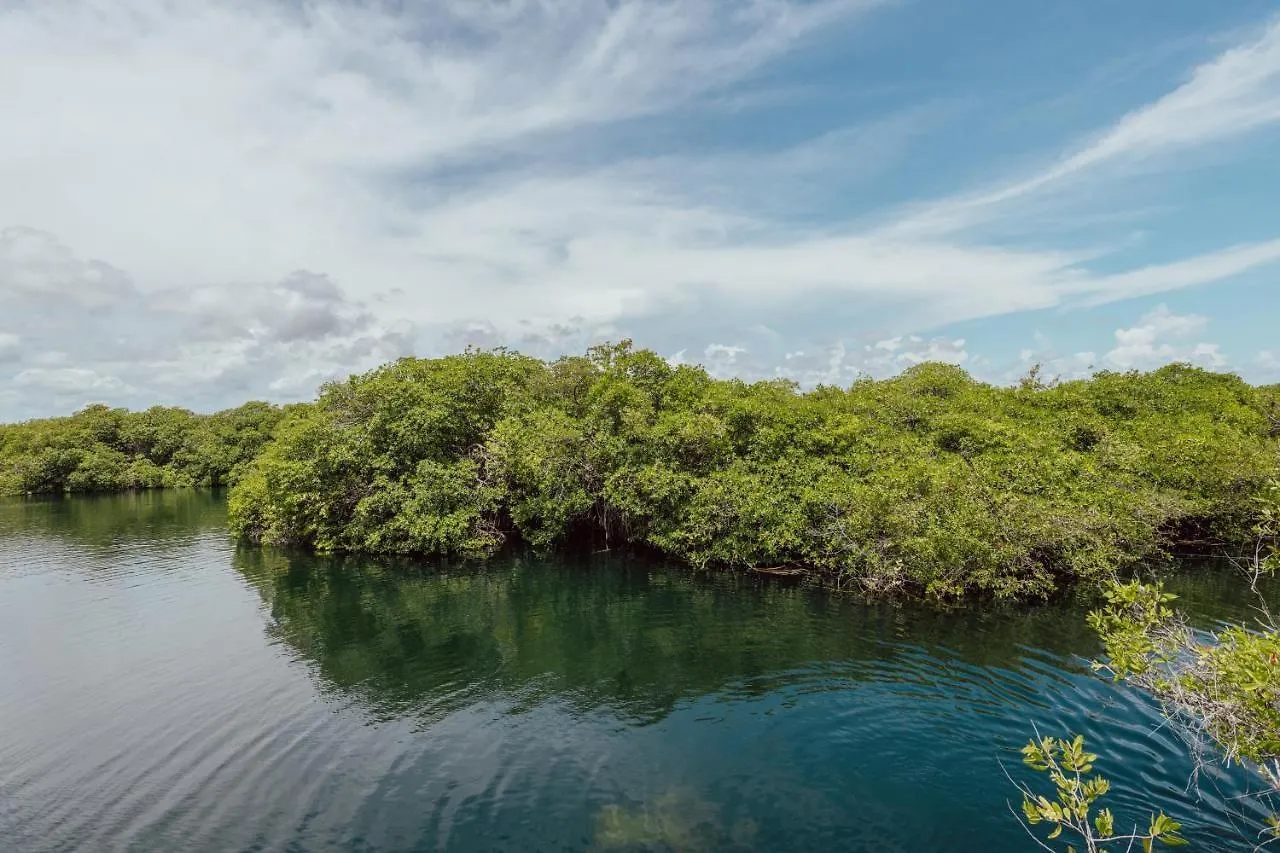 Lodge Yaxchen Tulum Cabanas & Cenote