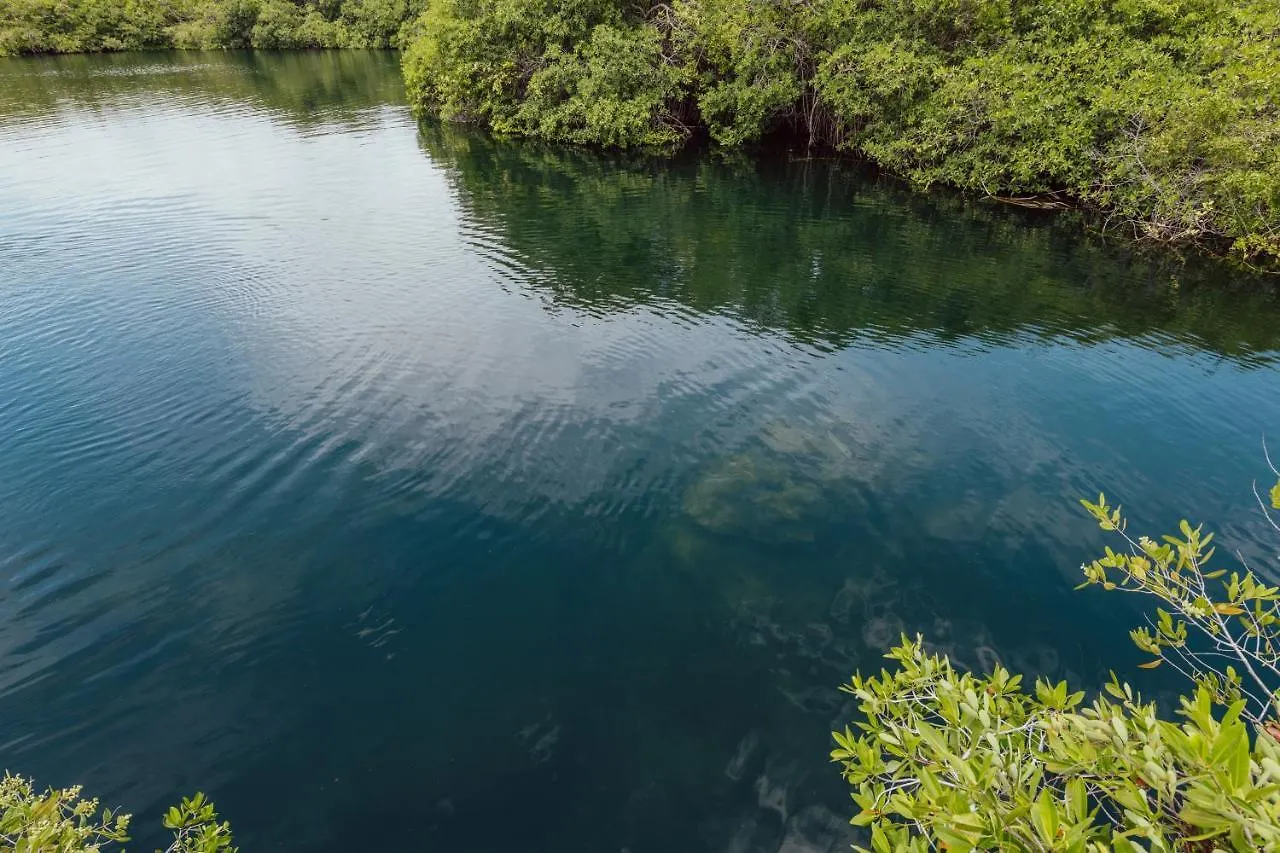 Yaxchen Tulum Cabanas & Cenote Lodge