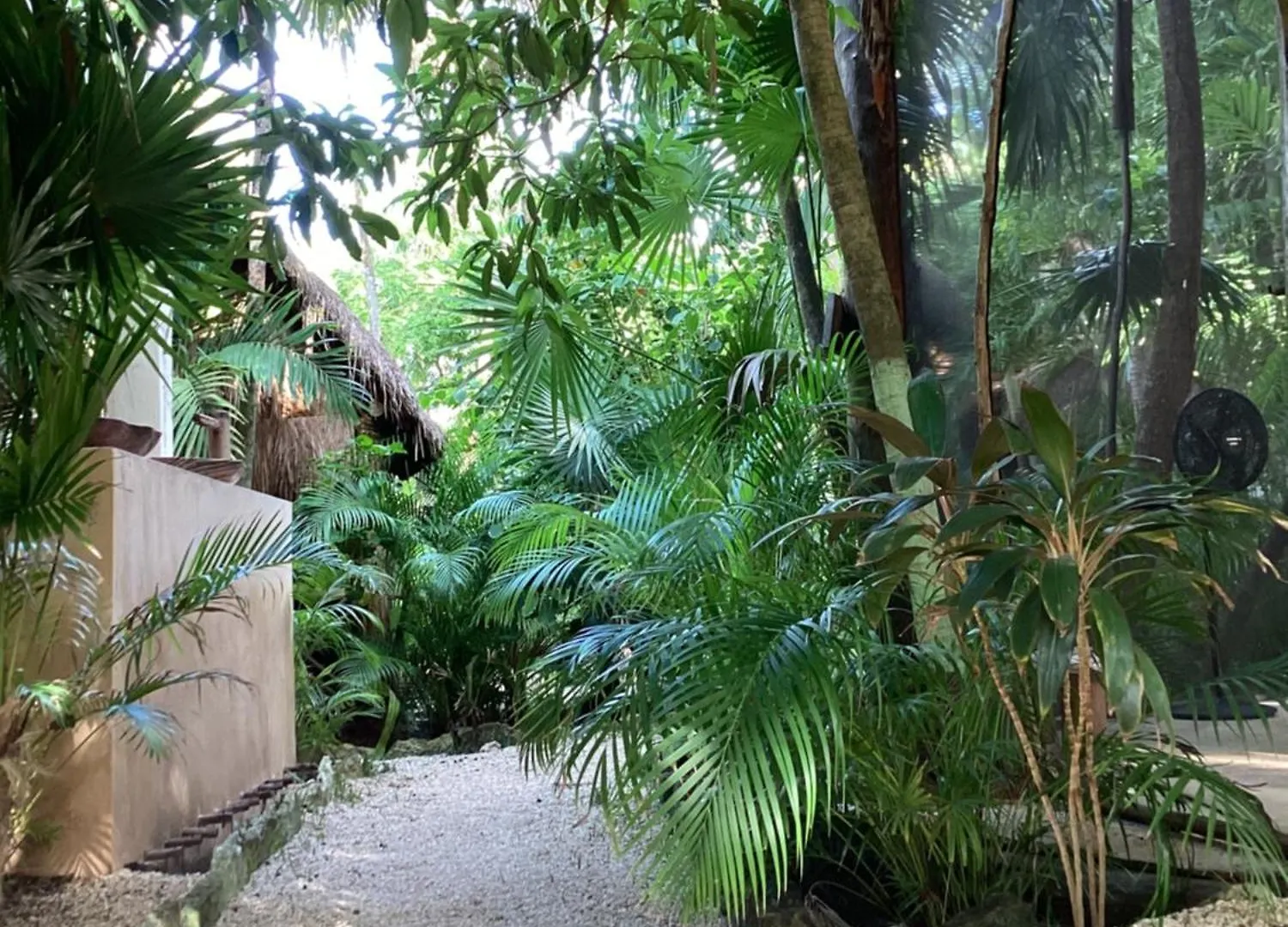 Yaxchen Tulum Cabanas & Cenote Mexico